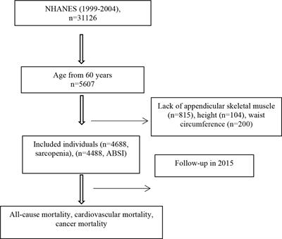 Association of Sarcopenia and A Body Shape Index With Overall and Cause-Specific Mortality